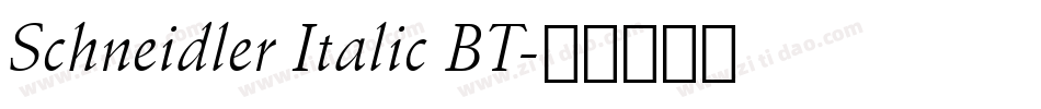 Schneidler Italic BT字体转换